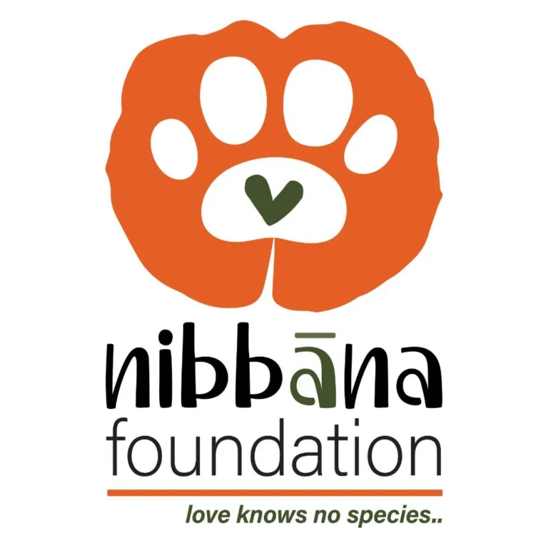 Read more about the article Nibbana Foundation | Case Study
